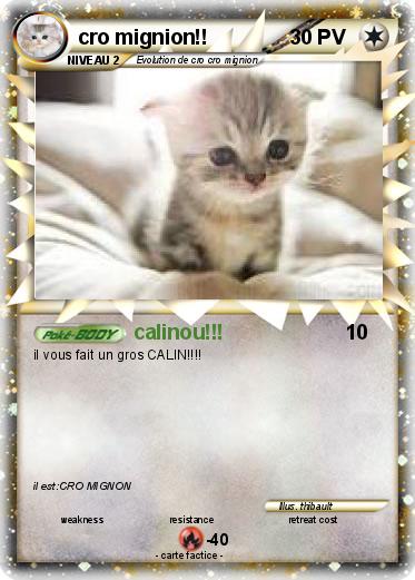 Pokemon cro mignion!!