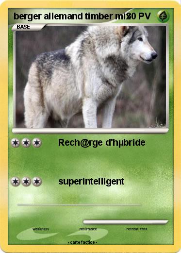 Pokemon berger allemand timber mix