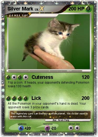 Pokemon Silver Mark