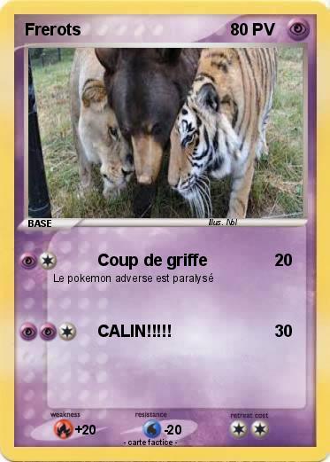 Pokemon Frerots