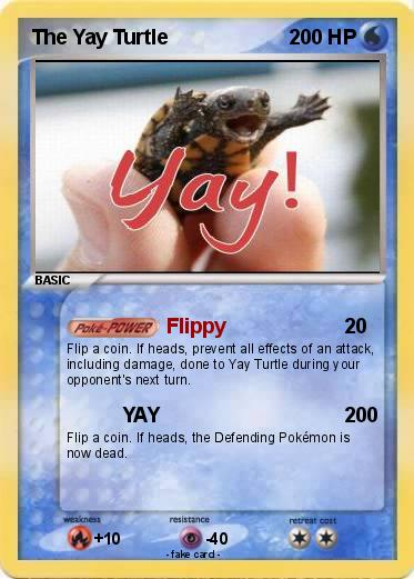 Pokemon The Yay Turtle