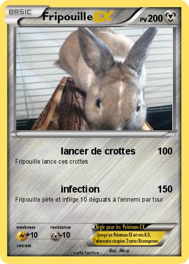 Pokemon Fripouille