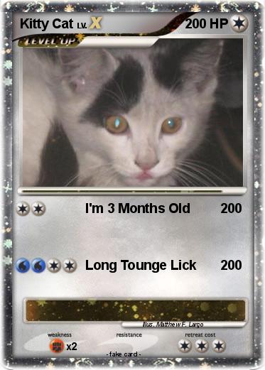 Pokemon Kitty Cat