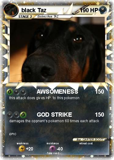 Pokemon black Taz