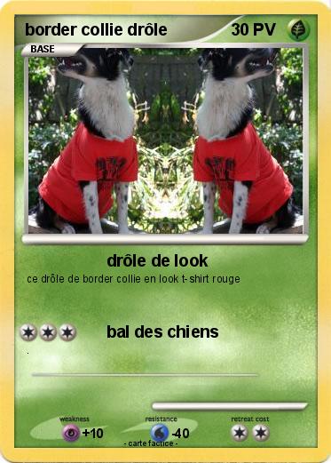 Pokemon border collie drôle