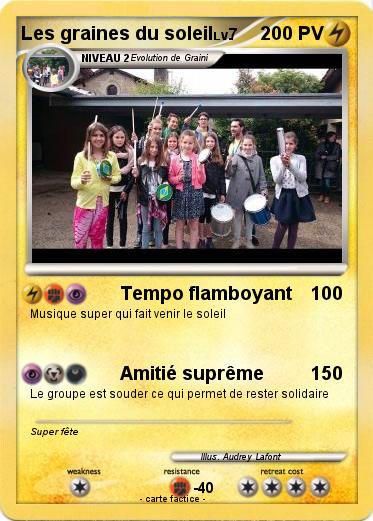 Pokemon Les graines du soleil