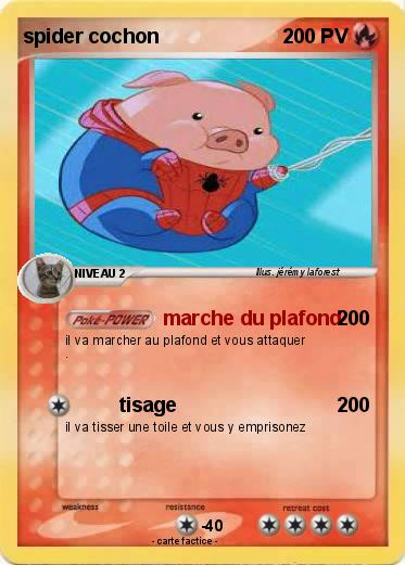 Pokemon spider cochon