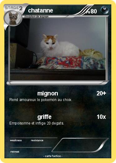 Pokemon chatanne