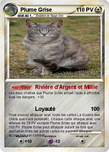 Pokemon Plume Grise