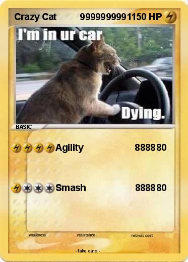 Pokemon Crazy Cat         9999999991