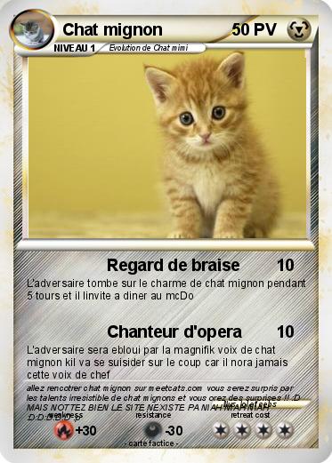 Pokemon Chat mignon