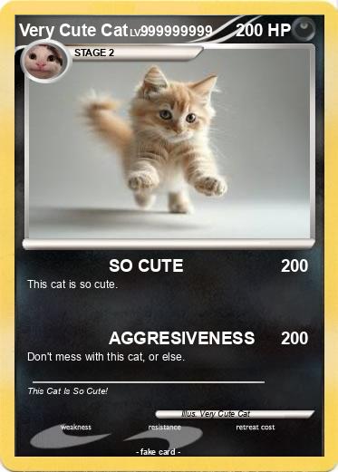 Pokemon Very Cute Cat