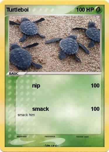 Pokemon Turtleboi