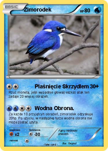 Pokemon Zimorodek