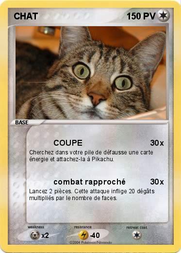 Pokemon CHAT