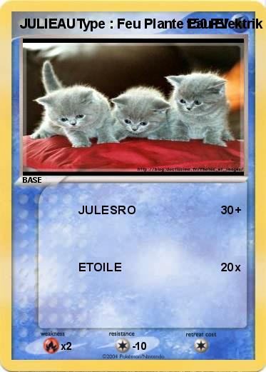 Pokemon JULIEAUType : Feu Plante Eau Elektrik Psy Combat Incolore Obscurité Métal  Points de vie : 