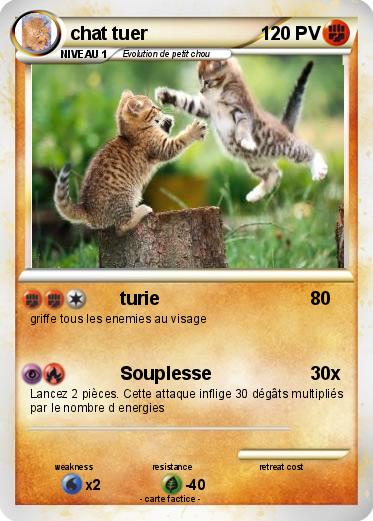 Pokemon chat tuer