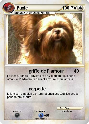 Pokemon Faxie