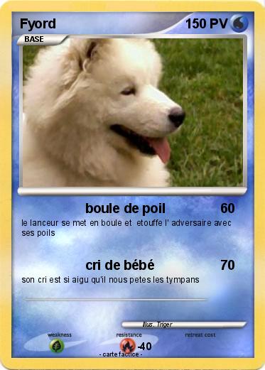 Pokemon Fyord