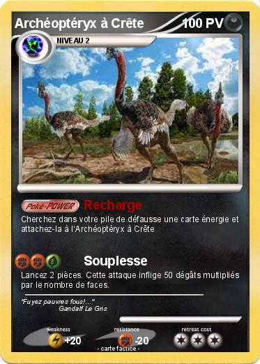 Pokemon Archéoptéryx à Crête