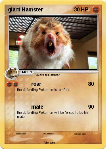 Pokemon giant Hamster