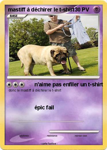 Pokemon mastiff à déchirer le t-shirt
