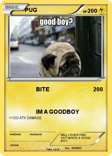 Pokemon PUG