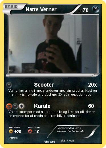 Pokemon Natte Verner