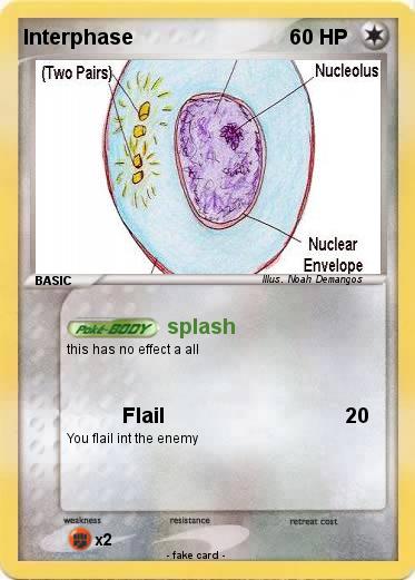 Pokemon Interphase