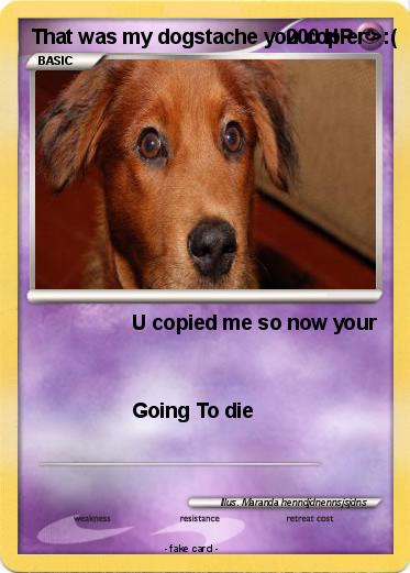 Pokemon That was my dogstache you copier >:(