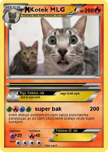 Pokemon Kotek MLG