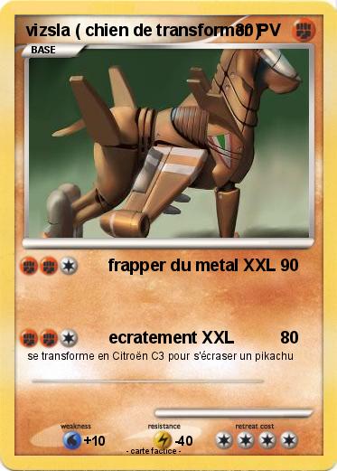 Pokemon vizsla ( chien de transformer )