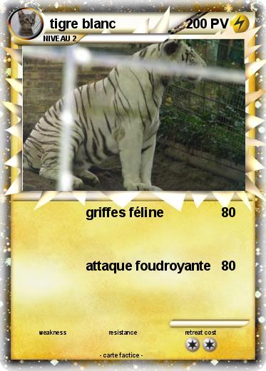 Pokemon tigre blanc