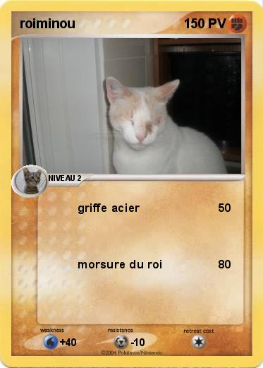 Pokemon roiminou