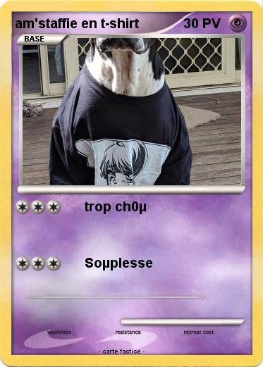 Pokemon am'staffie en t-shirt