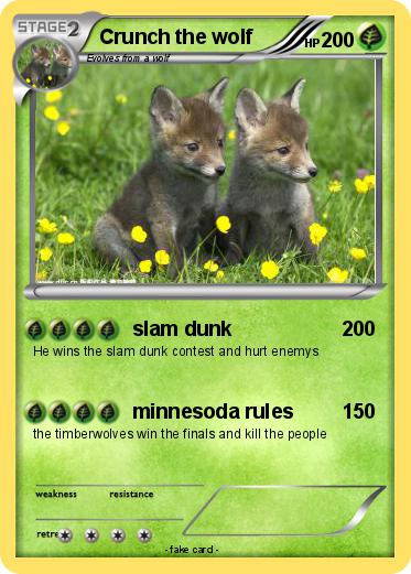 Pokemon Crunch the wolf