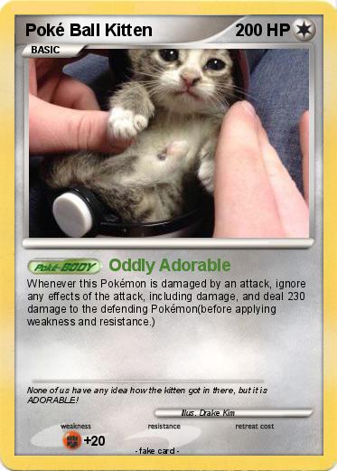 Pokemon Poké Ball Kitten