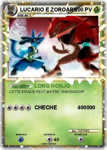 Pokemon LUCARIO E ZOROARK