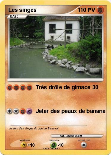 Pokemon Les singes