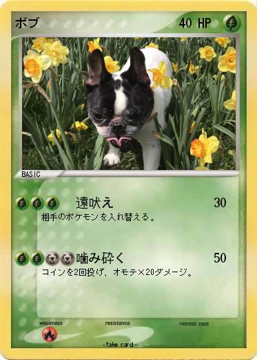 Pokemon ボブ