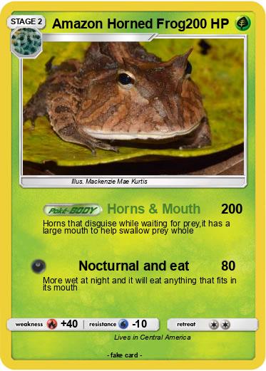 Pokemon Amazon Horned Frog
