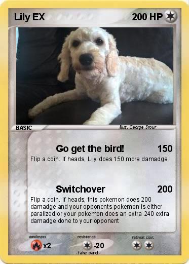 Pokemon Lily EX