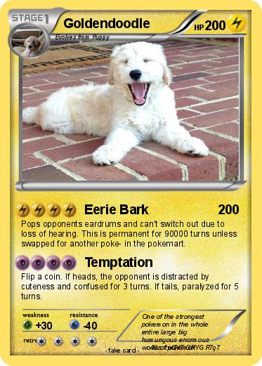 Pokemon Goldendoodle