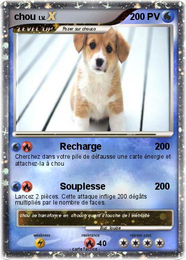 Pokemon chou