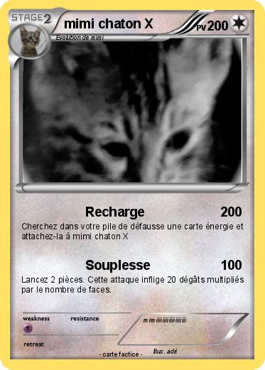 Pokemon mimi chaton X