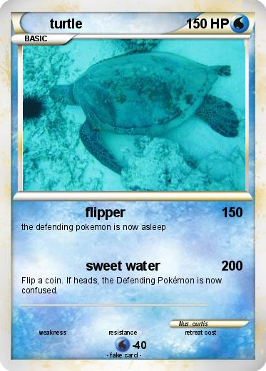 Pokemon turtle