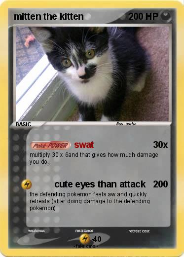 Pokemon mitten the kitten