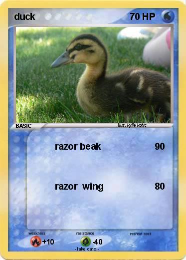 Pokemon duck