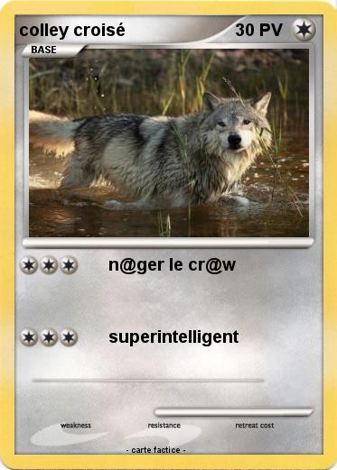 Pokemon colley croisé