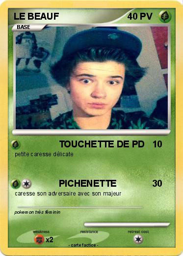 Pokemon LE BEAUF